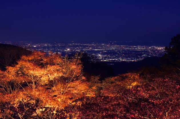 【編集部日誌】紅葉の名所　伊勢原市大山