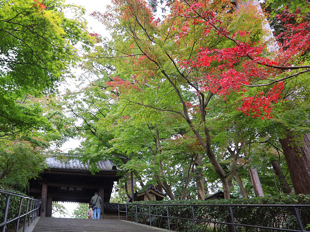 【編集部日誌】紅葉の始まる北鎌倉 珈琲で一息