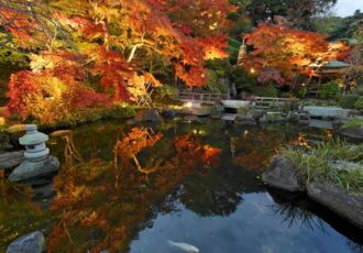 深まる秋 編集部厳選!　湘南のお出かけ情報