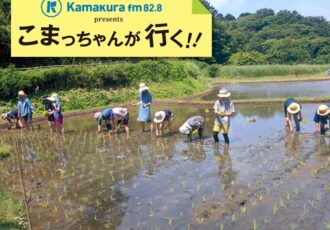 第49回　鎌倉中央公園の景観と生態系を守る「山崎・谷戸の会」