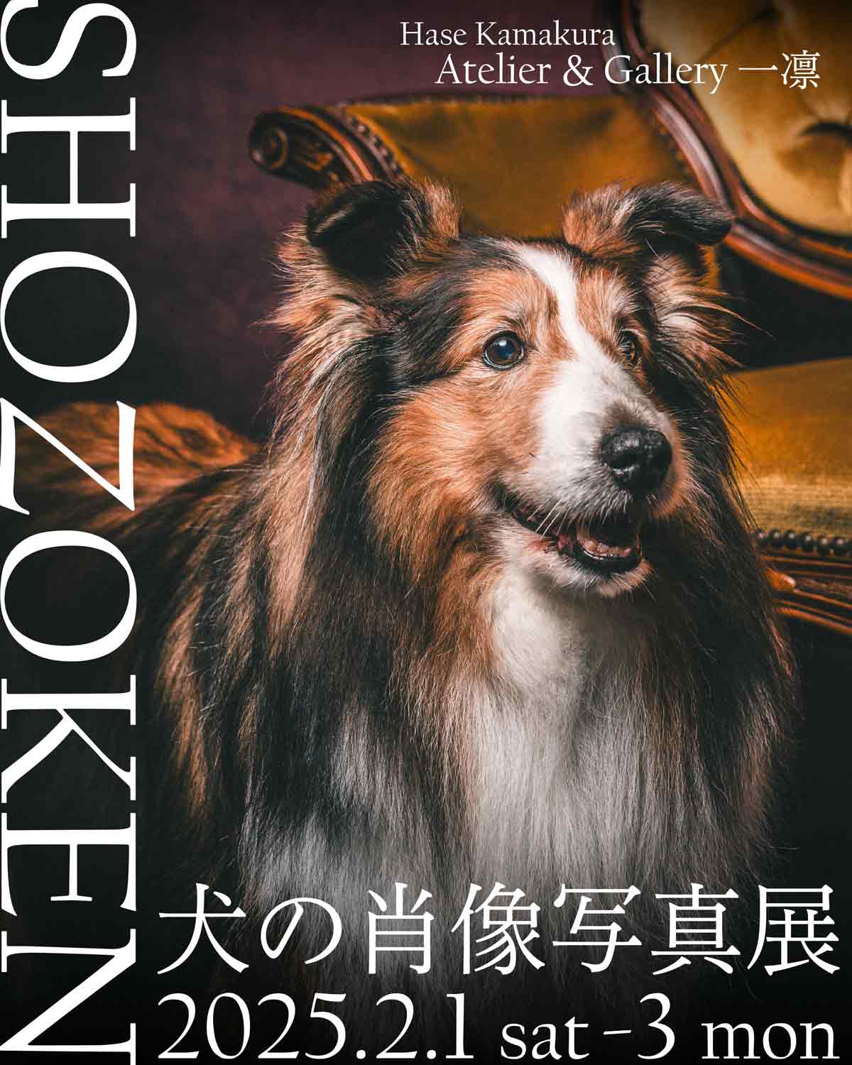 愛犬の写真をアートへと昇華、かけがえのない瞬間を収めた「犬の肖像美術写真展」2/1(土)～