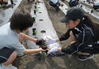 国内縫製にこだわる“鎌倉シャツ” 農業の課題解決を視野に綿花の栽培開始