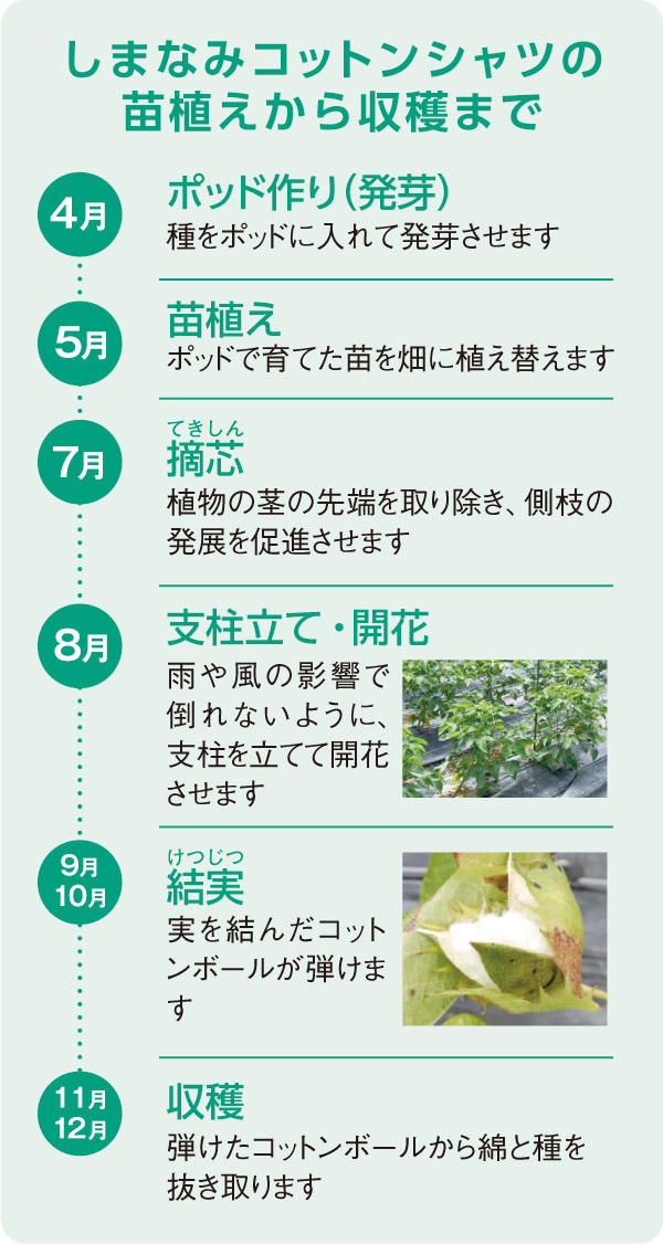 記事画像