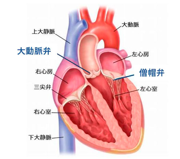 記事画像