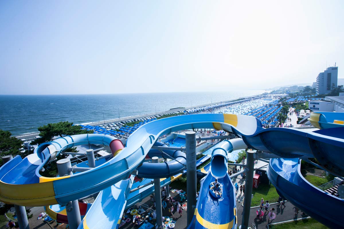 はじける!飛び込む夏!大磯ロングビーチ2025-7/5(土)から開幕!!