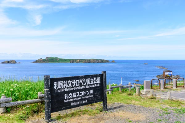 記事画像