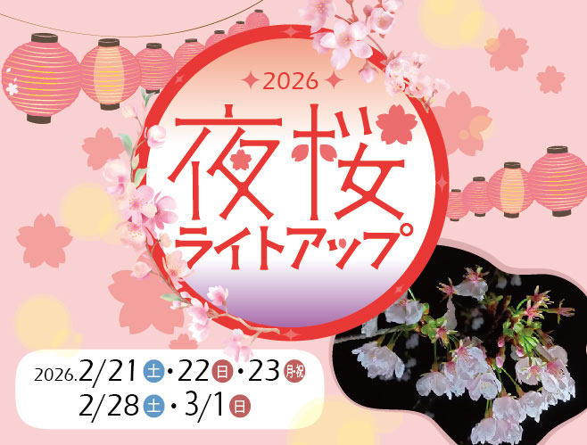 夜桜ライトアップ2026