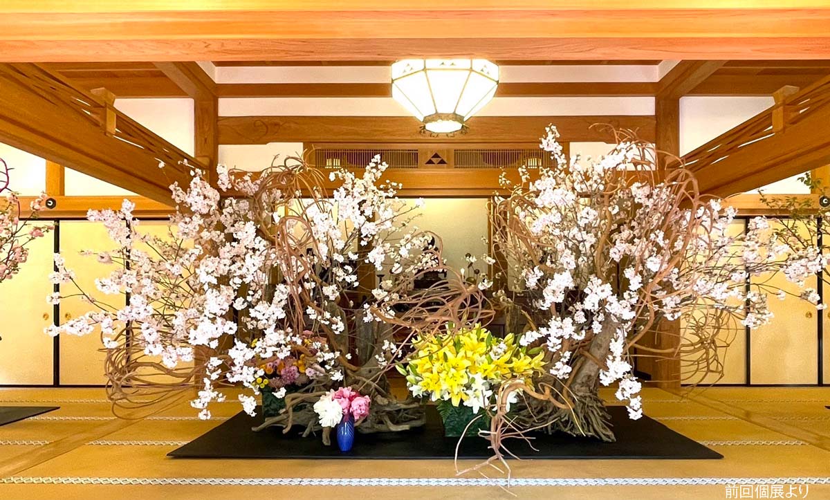 4/4(土)～15(水)第5回個展 假屋崎省吾の世界展『円覚寺山内 佛日庵に桜をいける！』