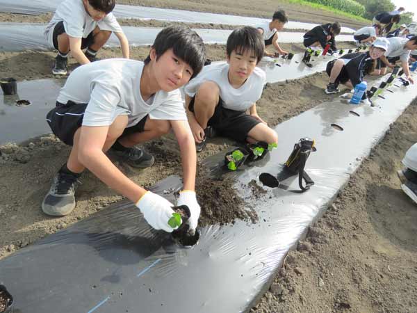 記事画像