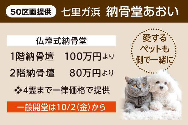 記事画像